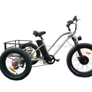 48V 500W 4.0 Inch Fat Tire Cargo Tricycle Three Wheel Electric Tricycle