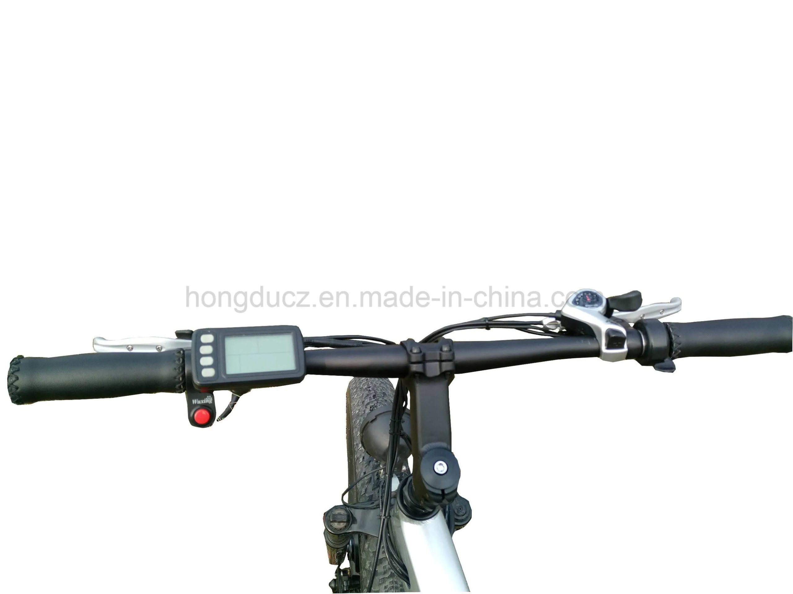 48V 500W 4.0 Inch Fat Tire Cargo Tricycle Three Wheel Electric Tricycle - Image 2