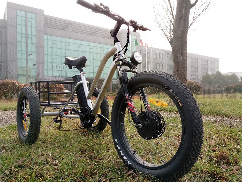 48V 500W 4.0 Inch Fat Tire Cargo Tricycle Three Wheel Electric Tricycle - Image 5