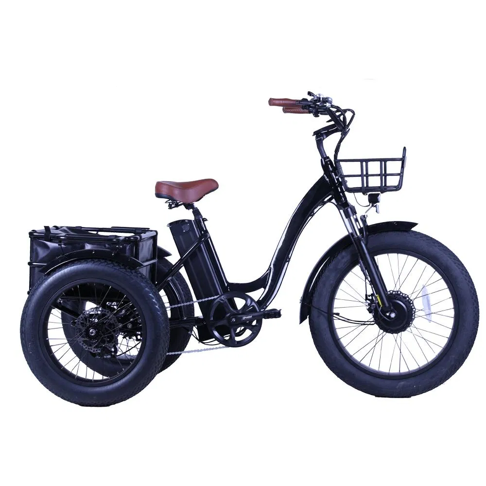 48V 500W 4.0 Inch Fat Tire Cargo Tricycle Three Wheel Electric Tricycle - detail 1