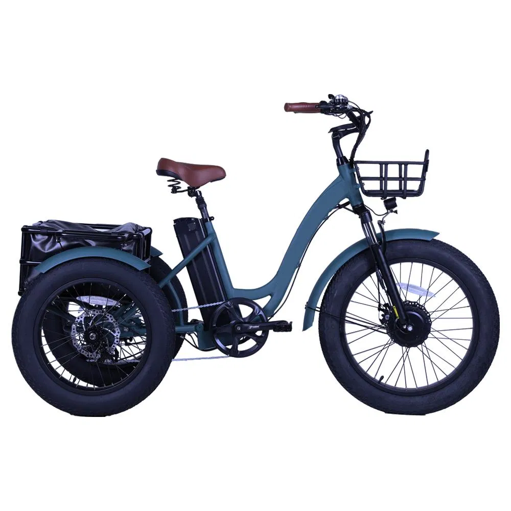 48V 500W 4.0 Inch Fat Tire Cargo Tricycle Three Wheel Electric Tricycle - detail 2