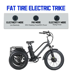 48V 500W 4.0 Inch Fat Tire Cargo Tricycle Three Wheel Electric Tricycle - detail 15