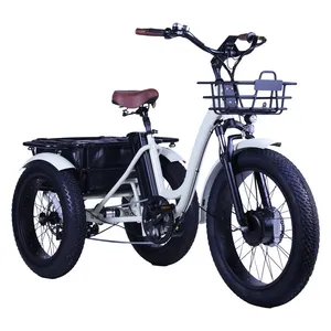 48V 500W 4.0 Inch Fat Tire Cargo Tricycle Three Wheel Electric Tricycle - detail 16