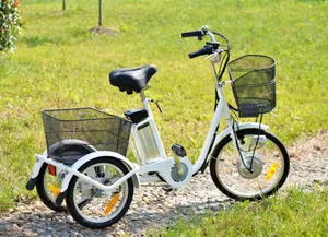 48V 500W 4.0 Inch Fat Tire Cargo Tricycle Three Wheel Electric Tricycle - detail 17