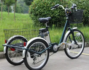 48V 500W 4.0 Inch Fat Tire Cargo Tricycle Three Wheel Electric Tricycle - detail 18