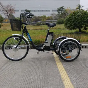 48V 500W 4.0 Inch Fat Tire Cargo Tricycle Three Wheel Electric Tricycle - detail 19