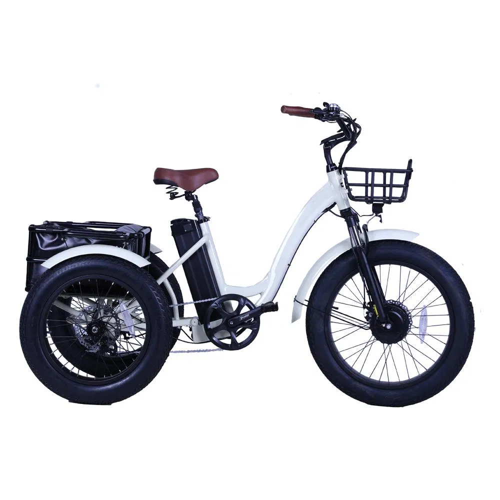 48V 500W 4.0 Inch Fat Tire Cargo Tricycle Three Wheel Electric Tricycle - detail 3