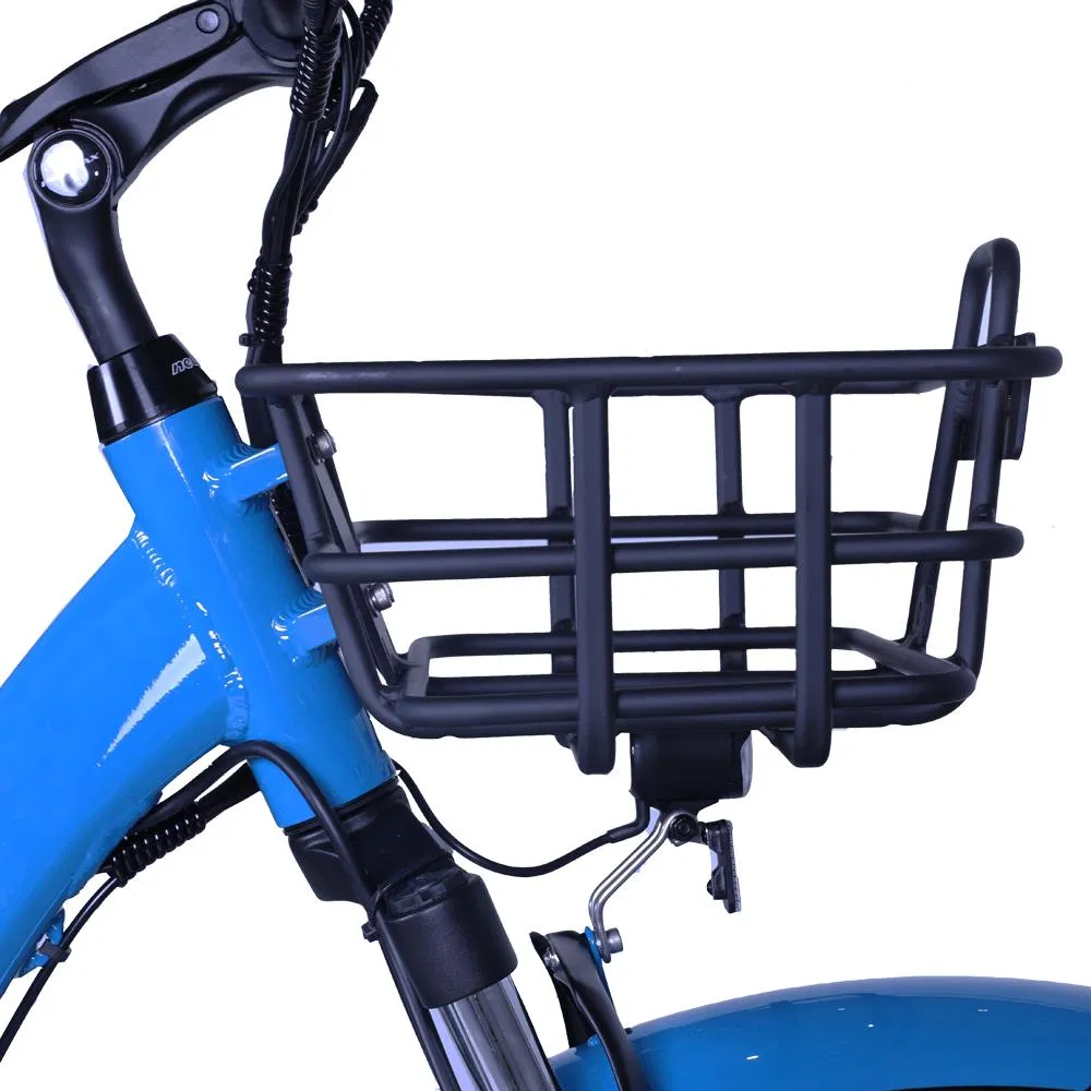48V 500W 4.0 Inch Fat Tire Cargo Tricycle Three Wheel Electric Tricycle - detail 4