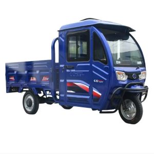 Factory Sales Low Price 1000W Motorized Tricycles 3 Wheel Cargo Electric Tricycle