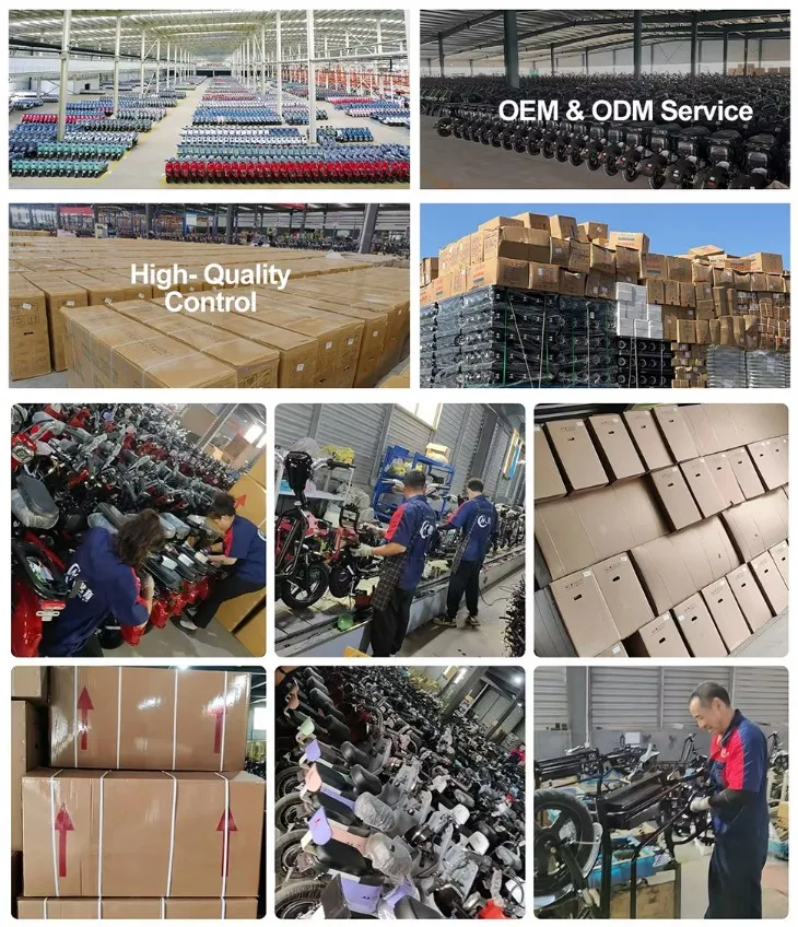 Factory Sales Low Price 1000W Motorized Tricycles 3 Wheel Cargo Electric Tricycle - detail 12