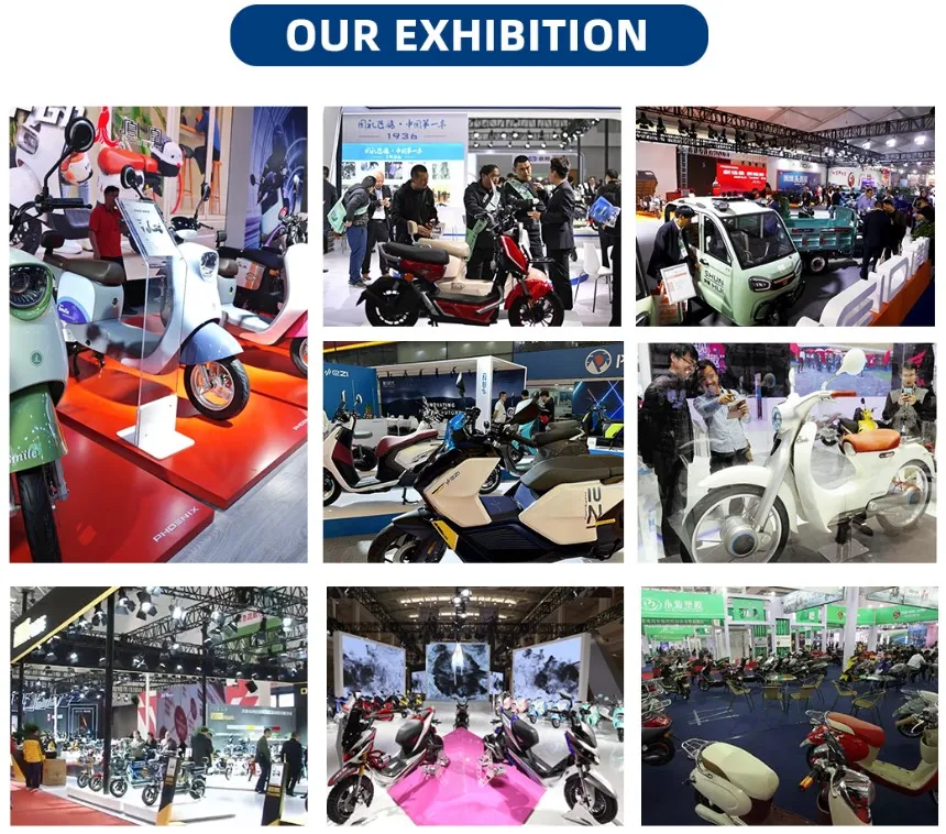 Factory Sales Low Price 1000W Motorized Tricycles 3 Wheel Cargo Electric Tricycle - detail 16