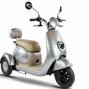 Factory Sales Low Price 1000W Motorized Tricycles 3 Wheel Cargo Electric Tricycle - detail 18