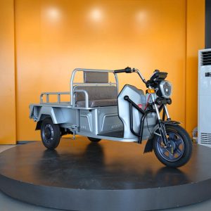 Compact Electric Cargo Tricycle Used for Rural Small Goods Transportation Work