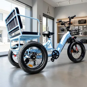 3 Wheel Electric Bicycle Electric Tricycle for Daily Errands Cargo Hauling Outdoor - detail 18