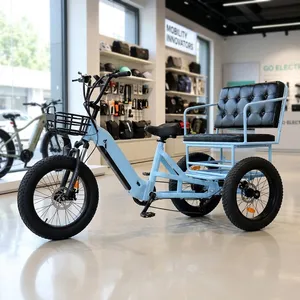 3 Wheel Electric Bicycle Electric Tricycle for Daily Errands Cargo Hauling Outdoor - detail 19