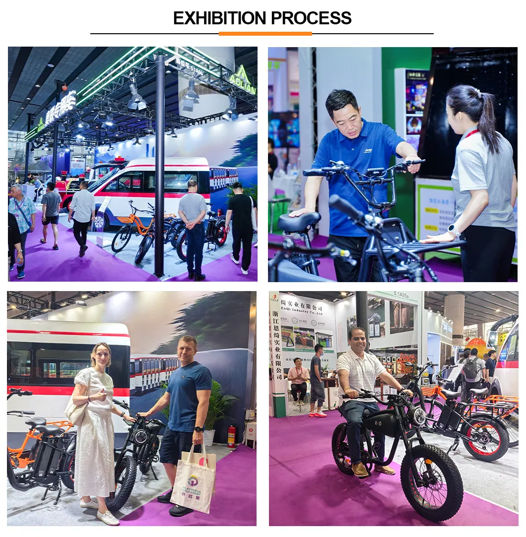 3 Wheel Electric Bicycle Electric Tricycle for Daily Errands Cargo Hauling Outdoor - detail 10