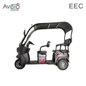 1600W Family Vintage Cargo 3 Wheels Electric Passenger Tricycle with Roof for Sale