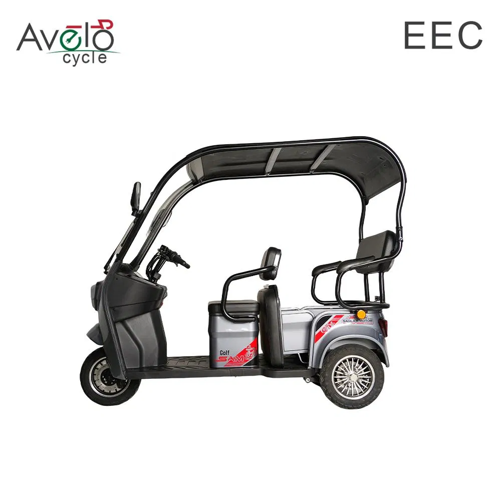 1600W Family Vintage Cargo 3 Wheels Electric Passenger Tricycle with Roof for Sale - Image 3