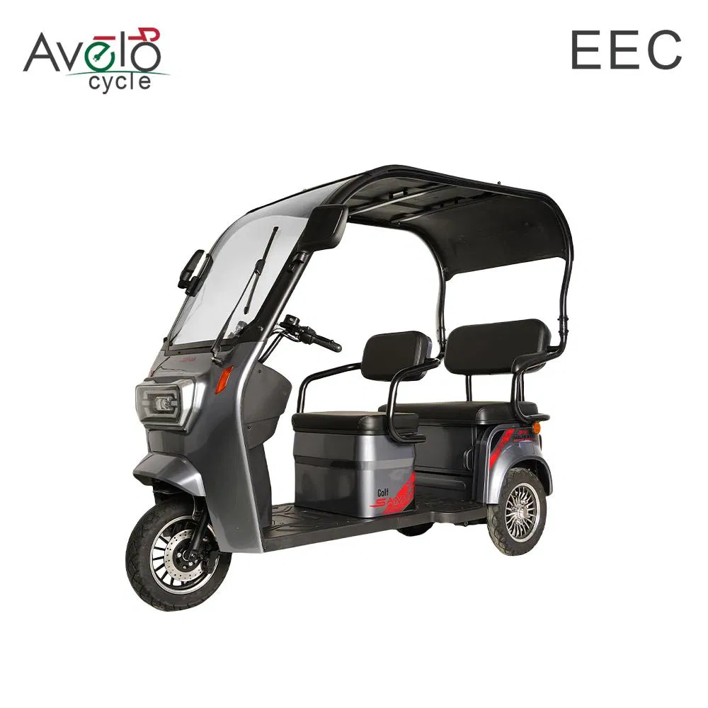 1600W Family Vintage Cargo 3 Wheels Electric Passenger Tricycle with Roof for Sale - Image 4