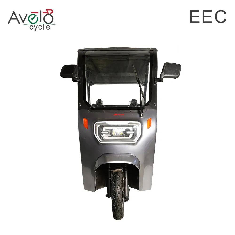 1600W Family Vintage Cargo 3 Wheels Electric Passenger Tricycle with Roof for Sale - Image 6