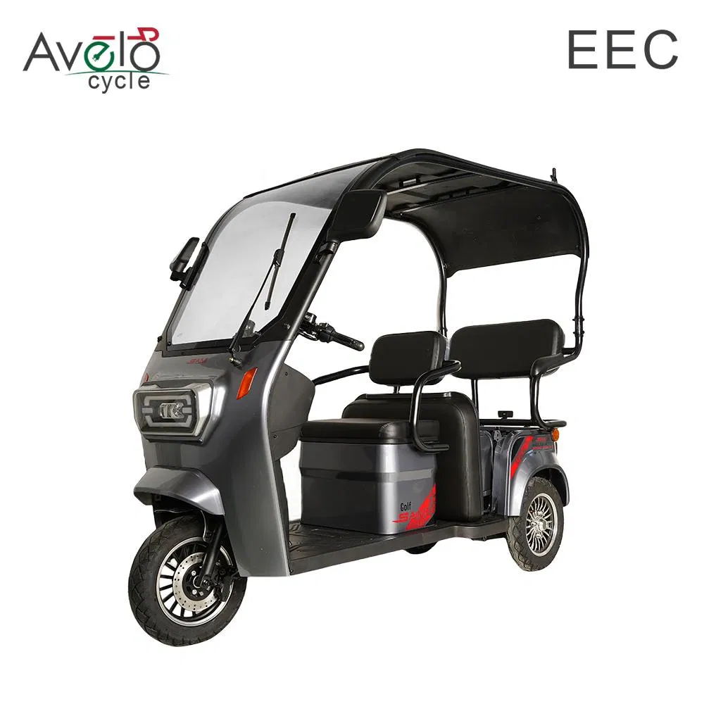 1600W Family Vintage Cargo 3 Wheels Electric Passenger Tricycle with Roof for Sale - detail 1