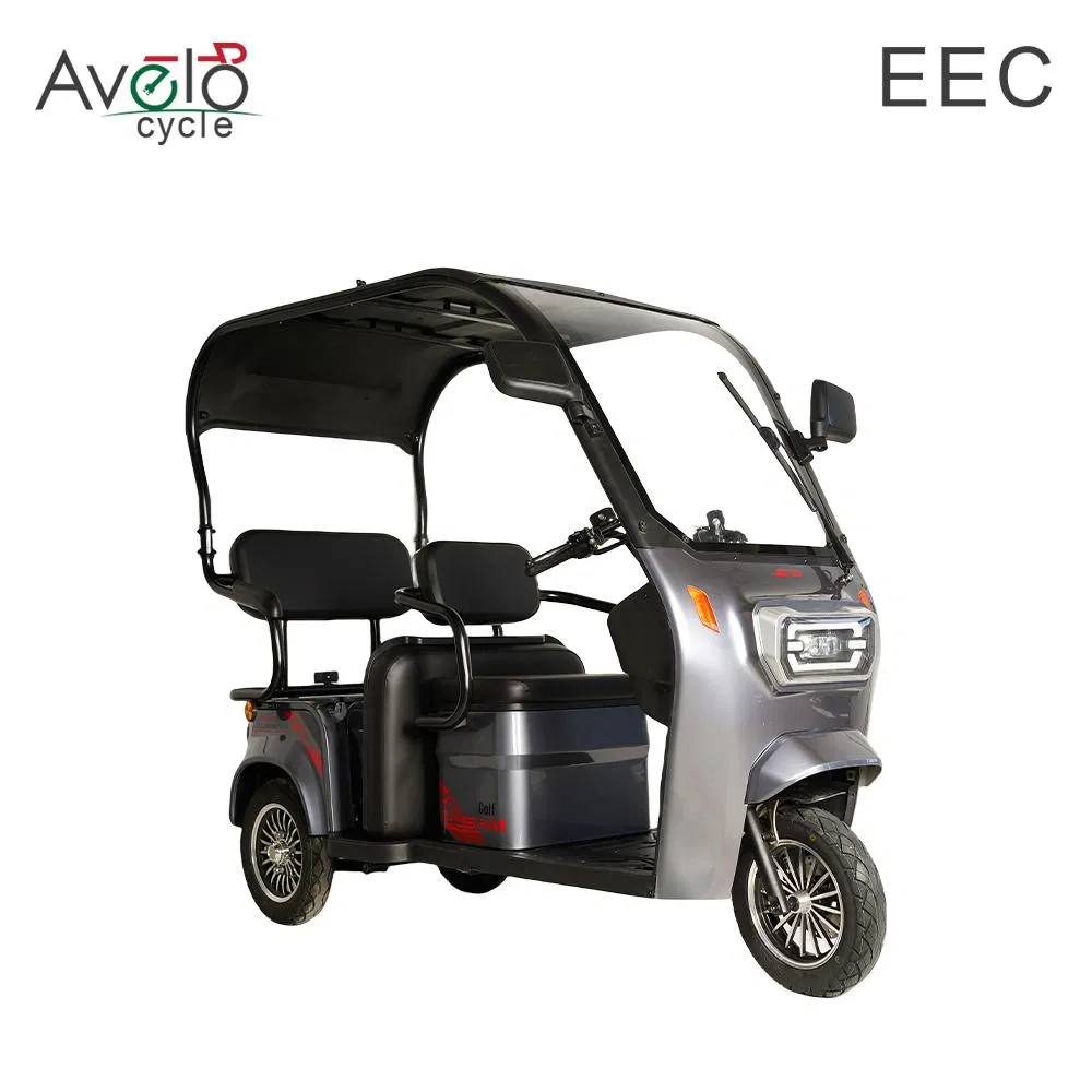 1600W Family Vintage Cargo 3 Wheels Electric Passenger Tricycle with Roof for Sale - detail 2