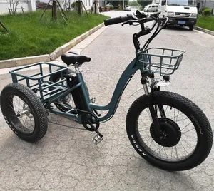 1600W Family Vintage Cargo 3 Wheels Electric Passenger Tricycle with Roof for Sale - detail 16