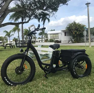 1600W Family Vintage Cargo 3 Wheels Electric Passenger Tricycle with Roof for Sale - detail 18