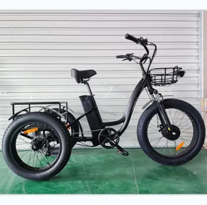 1600W Family Vintage Cargo 3 Wheels Electric Passenger Tricycle with Roof for Sale - detail 19