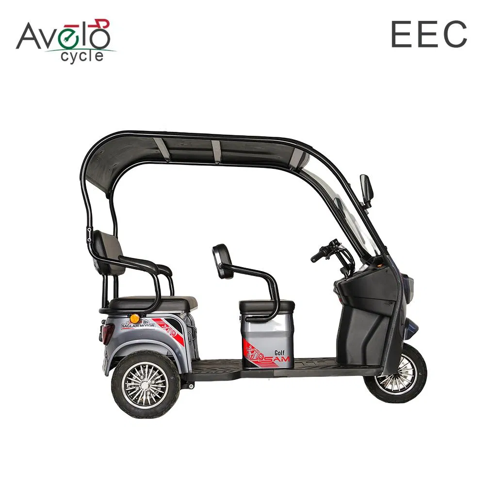 1600W Family Vintage Cargo 3 Wheels Electric Passenger Tricycle with Roof for Sale - detail 3