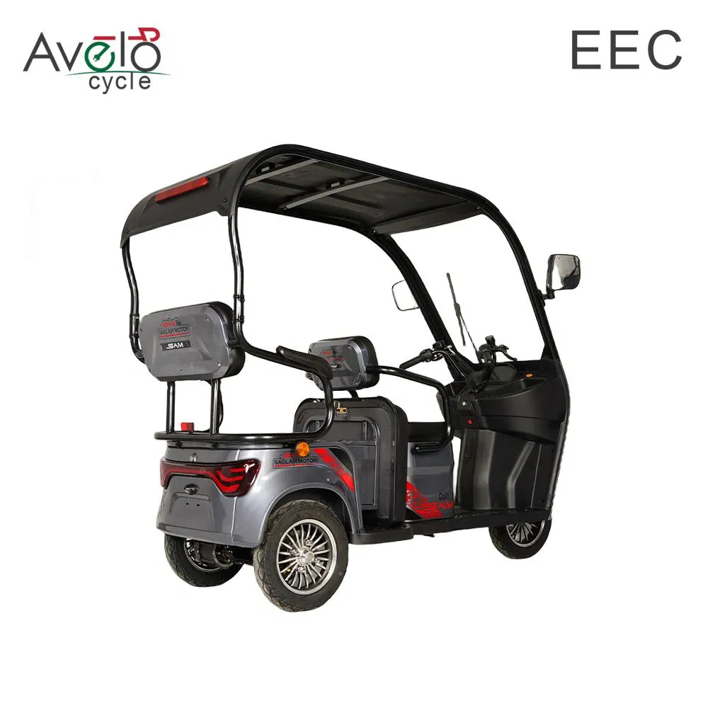1600W Family Vintage Cargo 3 Wheels Electric Passenger Tricycle with Roof for Sale - detail 4