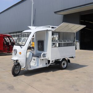 Keyu Brand Authorization 1kw Speed 45km/H Electric Tricycles for Cargo