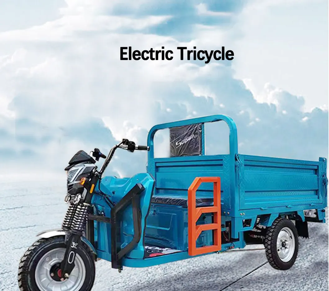 Factory Outlet Heavy Duty Cargo Electric Tricycle 1500W Cargo Tricycle Box - detail 1