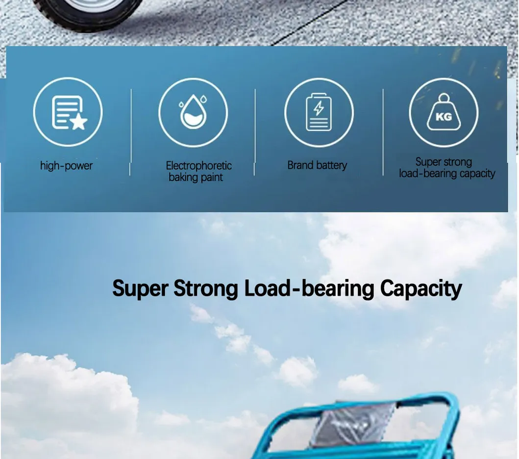 Factory Outlet Heavy Duty Cargo Electric Tricycle 1500W Cargo Tricycle Box - detail 2