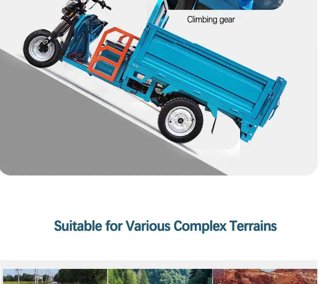 Factory Outlet Heavy Duty Cargo Electric Tricycle 1500W Cargo Tricycle Box - detail 11