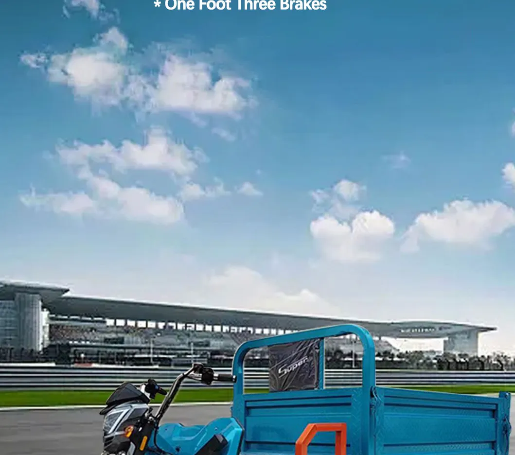 Factory Outlet Heavy Duty Cargo Electric Tricycle 1500W Cargo Tricycle Box - detail 13