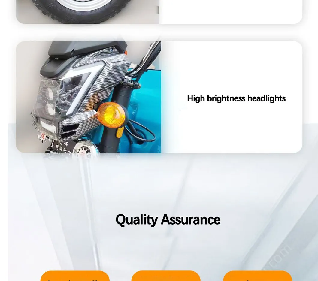 Factory Outlet Heavy Duty Cargo Electric Tricycle 1500W Cargo Tricycle Box - detail 16