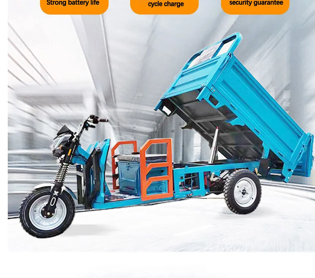 Factory Outlet Heavy Duty Cargo Electric Tricycle 1500W Cargo Tricycle Box - detail 17
