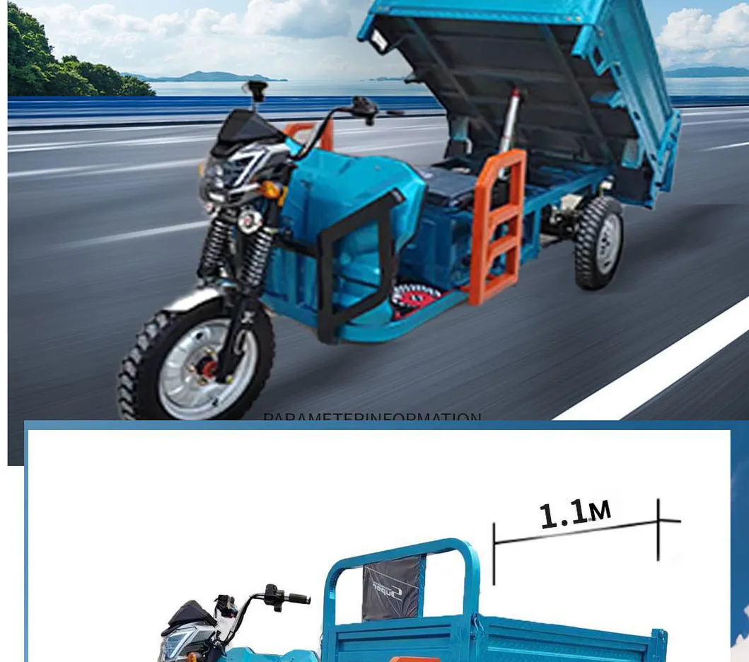 Factory Outlet Heavy Duty Cargo Electric Tricycle 1500W Cargo Tricycle Box - detail 20
