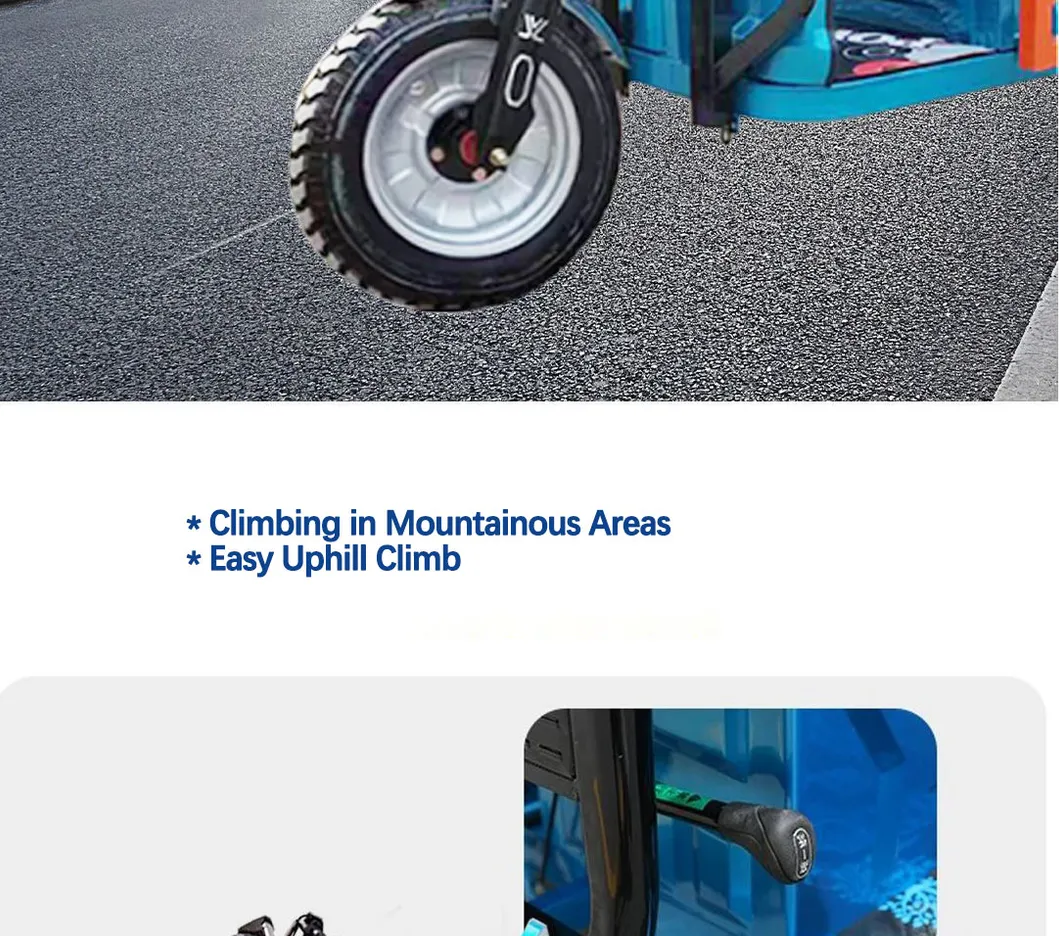 Factory Outlet Heavy Duty Cargo Electric Tricycle 1500W Cargo Tricycle Box - detail 10