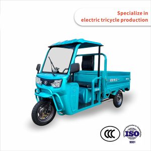 Wholesale Open-Style Electric Cargo Tricycle 1000W 3 Wheel Motor Tricycle Factory Price Custom Colors