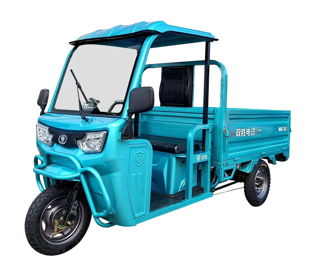 Wholesale Open-Style Electric Cargo Tricycle 1000W 3 Wheel Motor Tricycle Factory Price Custom Colors - detail 2