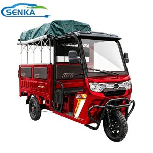 Senka Hybrid Passenger and Cargo 1000W 1200W 1500W Cheap 3-Wheel Electric Tricycle with Solar Panel
