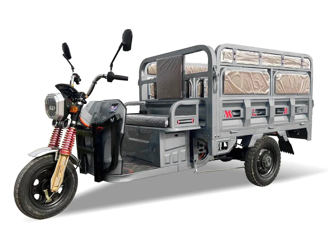 Senka Hybrid Passenger and Cargo 1000W 1200W 1500W Cheap 3-Wheel Electric Tricycle with Solar Panel - detail 8