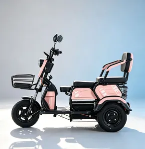 Auto Rickshaw Closed Electric 3000W 4000W 3 Wheeler Motociclet Triciclo Gasolina Tricycle Motor Pickup Cargo 3 Row Passengers Motorcycle Adult Taxi Tuk-Tuk - detail 18