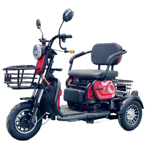 Factory Price Three-Wheel Electric Tricycle for Cargo and Passengers with Foldable Seats - detail 20