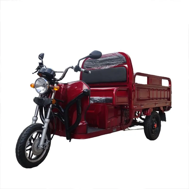 Factory Price Three-Wheel Electric Tricycle for Cargo and Passengers with Foldable Seats - detail 3