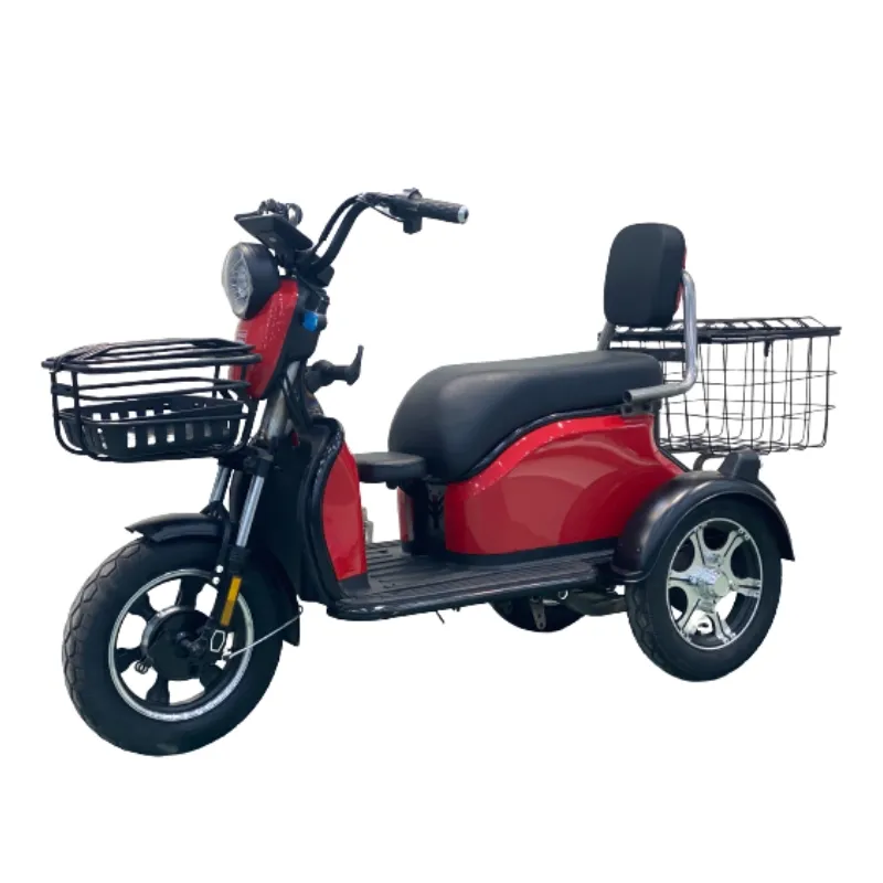 Factory Price Three-Wheel Electric Tricycle for Cargo and Passengers with Foldable Seats - detail 5