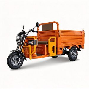 Keyu Factory Direct 1200W Motor Electric Tricycle Farm for Cargo