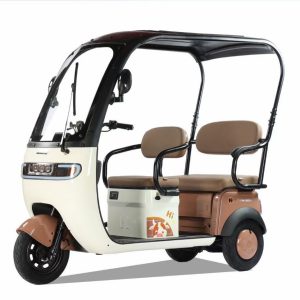 Factory Customized 3 Wheel Motorcycle Cargo and Passenger Electric Tricycle with Roof